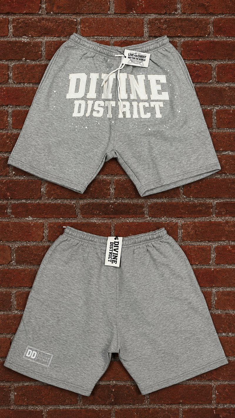 Divine District Shorts Silver