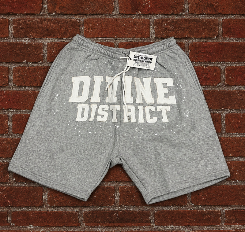 Divine District Shorts Light Grey